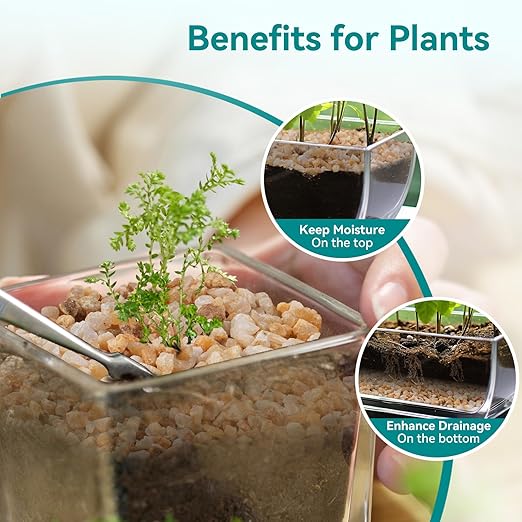 5 lbs Coarse Sand for Plants, 1/5 Inch Horticultural Sand for Vases, Aquariums, Terrarium, Fish Tank, Drainage Rocks for Potted Plants, Bamboo, Succulent, Crafts, Cactus-PurrikoPets