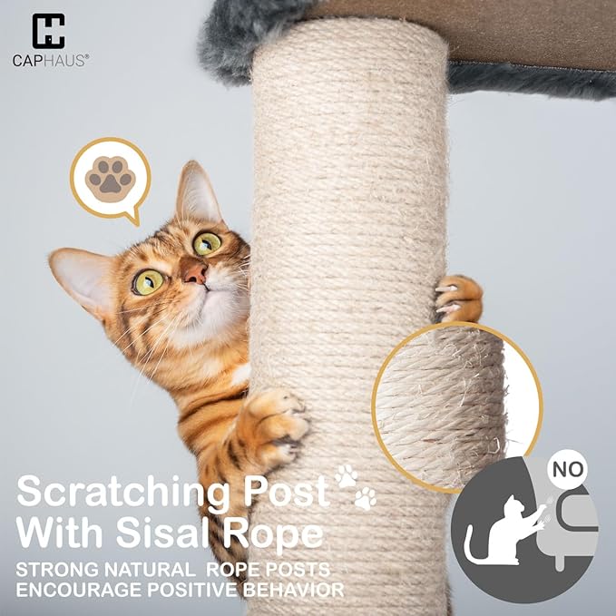 Extra Large 80-Inch Tall Cat Tree w/Widened Perch for Large Cats, Big Cat Tower Indoor, Modern Multi-Level Activity Tower with Scratching Posts, Condos, Baskets, Hammock, Scratching Ramps-PurrikoPets