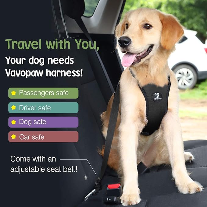 Dog Seat Belt, Safety Vest Dog Car Harness with Adjustable Buckle Dog Seat Belt for Vehicle Nylon Pet Safety Seat Belts Heavy Duty(M, Black)-PurrikoPets