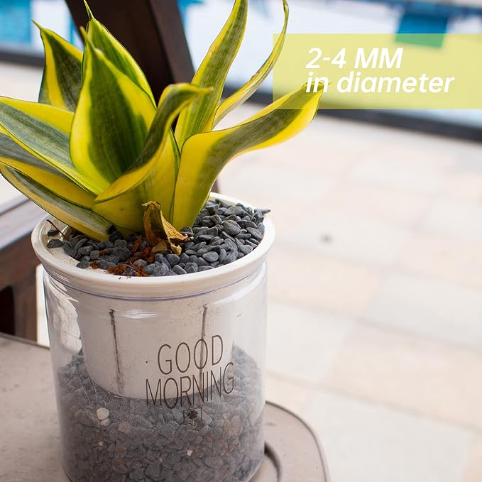 18lb Black Cactus Pea Gravel Rocks,1/4 Inch Pebbles for Indoor Plants, Natural Succulent Rock and River Rocks Decorative for Aquariums, Vases, Outdoor Gardening, Top Dressing for Potted Plants-PurrikoPets