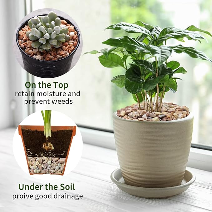 5lbs Natural Pea Gravel Pebbles, 3/8 Inch Decorative Succulent Rocks Pebbles for Indoor Plants. River Rocks for Vase and Outdoor Garden Landscaping Rocks-PurrikoPets