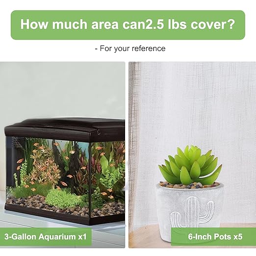 2.5 lbs Drainage Rocks for Potted Plants, 1/5 Inch Small Pebbles for Indoor Plants, Decorative Gravel for Vases, Bamboo, Succulent, Terrarium, Crafts, Cactus-PurrikoPets