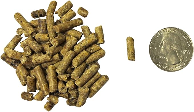 Exotic Nutrition Degu Diet (18lb) - Nutritionally Complete Healthy Pellet Diet with Whole Oats - for Domesticated Pet Degus-PurrikoPets