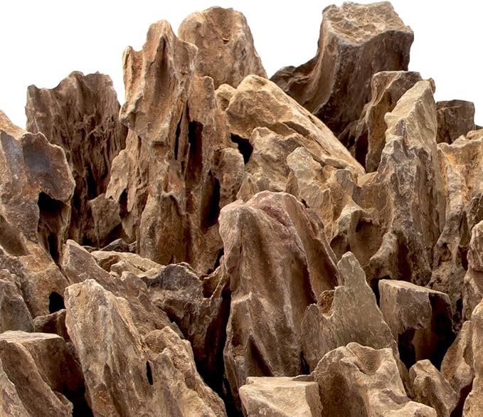 18.1 Pounds Natural Dragon Stones for Aquascaping Terrariums,Aquarium Dragon Ohko Rock (2.1 to 7.2 inch)-PurrikoPets