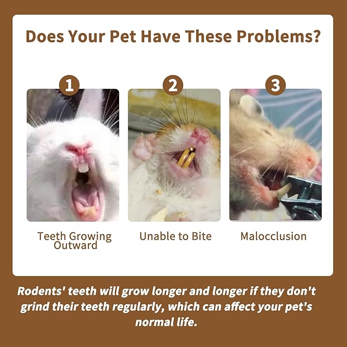 Fhiny 12 PCS Rabbit Chew Sticks, Natural Papaya Wood Seagrass Guinea Pig Chew Toys for Teeth Small Animal Molar Sticks Snacks for Bunny Guinea Pig Chinchilla Ferret Hamster Gerbil Dental Care-PurrikoPets