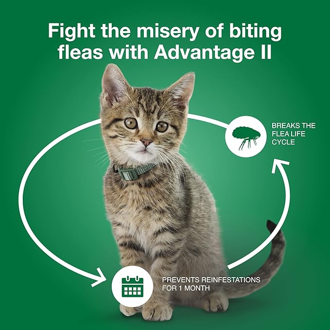 Advantage II Small Cat Vet-Recommended Flea Treatment & Prevention | Cats 5-9 lbs. | 12-Month Supply-PurrikoPets