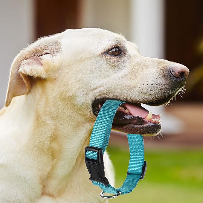 9 Pieces Adjustable Dog Collar for Animal, Soft Nylon Pets Puppy Collar with Quick Release Buckle Holder Bulk for Dogs Walking Running Training(Medium,Retro Colors)-PurrikoPets