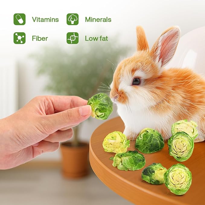 Abizoo Freeze Dried Brussels Sprouts Rabbit and Hamster Chew Treats Resealable Jar for Hamsters Bunny Guinea Pigs Groundhogs Natural Fiber Vitamin Snacks-PurrikoPets