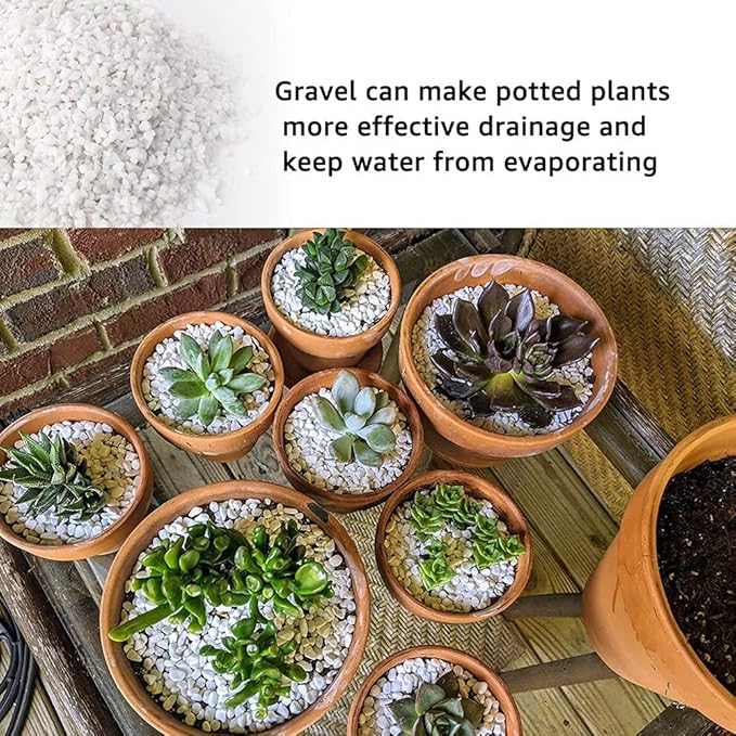 3lb White Cactus Pea Gravel Rocks,1/4 Inch Pebbles for Indoor Plants, Natural Succulent Rock and River Rocks Decorative for Aquariums, Vases, Outdoor Gardening, Top Dressing for Potted Plants-PurrikoPets