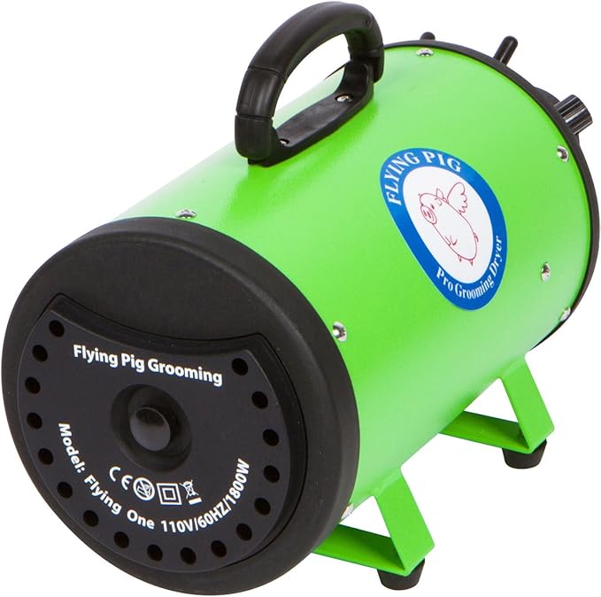 Flying Pig High Velocity Dog Pet Grooming Dryer w/Heater (Model: Flying One, Green)-PurrikoPets