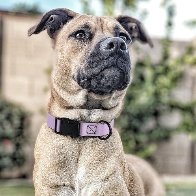 Dogline Biothane Waterproof Dog Collar with Quick Release Buckle Strong Coated Nylon Webbing with Odor- Proof for Easy Care Easy to Clean Fits Small Medium Large Dogs, Lavender 1" W 15-23" L-PurrikoPets