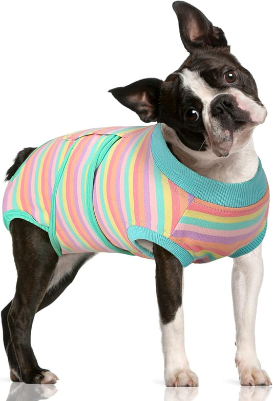 FUAMEY Recovery Suit for Dogs After Surgery,Soft Breathable Dog Bodysuit E-Collar & Cone Alternative Surgical Suit,Male Female Dog Neuter Spay Suits Anti Licking Wounds Onesie Mint Green Stripes M-PurrikoPets