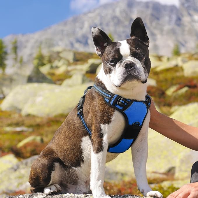 Eagloo Dog Harness Medium Sized Dog, No Pull Service Vest with Reflective Strips and Control Handle, Adjustable and Comfortable for Easy Walking, No Choke Pet Harness with 2 Metal Rings, Blue, M-PurrikoPets