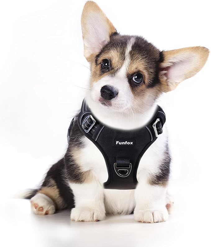 Funfox Dog Harness No Pull, Adjustable Dog Vest Harness, Super Soft Material with Vertical Handle Easy Control, Reflective Night Walking, 2 Leash Clips for Small Medium Large Size, Black, S-PurrikoPets