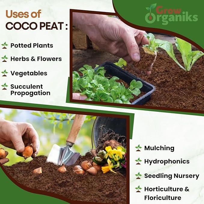 6 Pack Premium Coco Coir Brick for Plants | 100% Organic Compressed Coconut Coir Bricks Starting Mix, Coco Coir Fiber Coconut Husk for Planting, Gardening, Potting Soil Substrate, Herbs, 1.4 LB/Brick-PurrikoPets