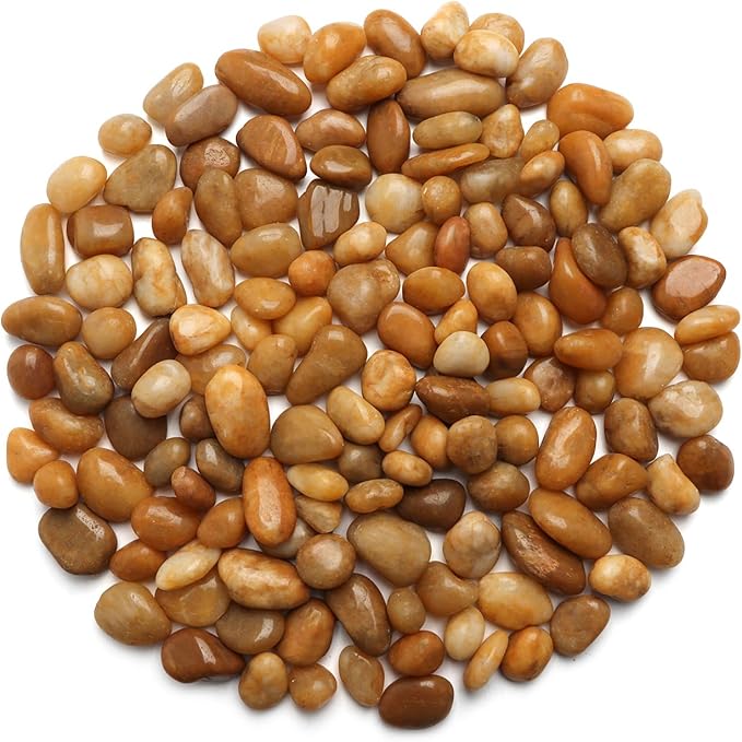 5 Lbs River Rocks for Plants,0.8-1.5 Inch Decorative Ornamental Pebbels, High Polished Stones for Garden Landscaping, Smooth Gravel Filler for Outdoor Plants, Succulents, Fish Tank and Vases, Yellow-PurrikoPets