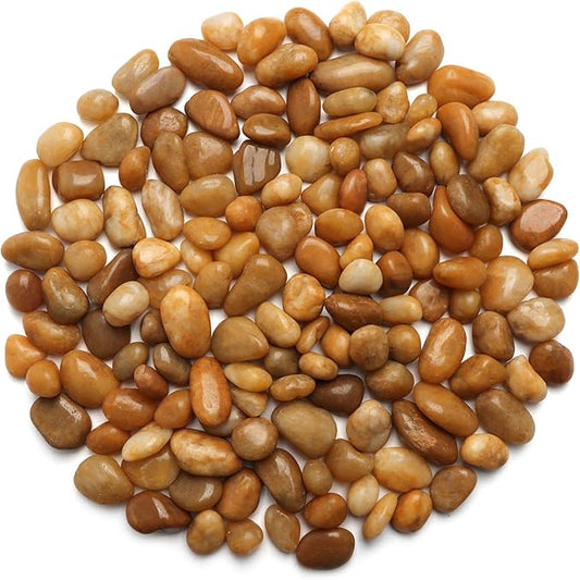 5 Lbs River Rocks for Plants,0.8-1.5 Inch Decorative Ornamental Pebbels, High Polished Stones for Garden Landscaping, Smooth Gravel Filler for Outdoor Plants, Succulents, Fish Tank and Vases, Yellow-PurrikoPets