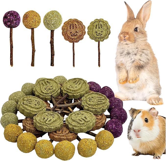 Fhiny Rabbit Chew Toys, 30 PCS Natural Bunny Lollipop Chew Sticks Handmade Guinea Pig Molar Treats for Teeth Small Animals Snacks for Guinea Pig Bunny Chinchilla Hamster Gerbil Teeth Care-PurrikoPets