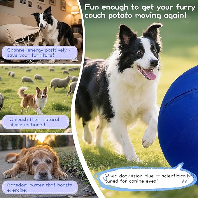 25" Herding Ball for Dogs – Durable Horse Ball Style Dog Toy with Cover – Dog Herding Toy for Outdoor Play, Training & Exercise – Great for Australian Shepherds & Large Breeds-PurrikoPets