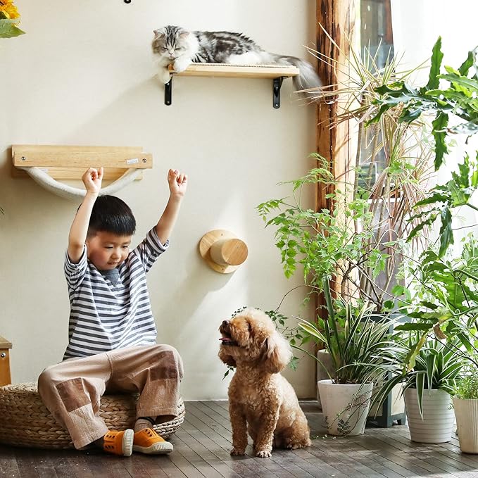 FUKUMARU Cat Wall Furniture, 11.8 Inch Cats Steps for Drywall, Kitten Stairs for Wall Mounted with Jute Scratching Kittens Shelf, 2 of Pack-PurrikoPets