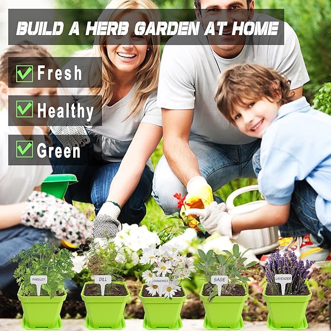 10 Herb Seeds Garden Starter Grow Kit with Green Pots, Markers, Nutritional Soil, Watering, Herb Clipper, Complete Indoor Potted Plant Growing Set for Kitchen DIY-PurrikoPets