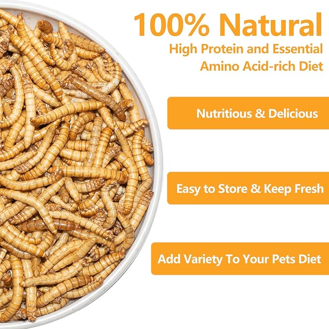 Freeze Dried Mealworms 6 Oz - High Protein Pet Food for Reptiles, Bearded Dragons, Birds & Hedgehogs - Nutrient-Packed Treat for Lizards, Geckos, Turtles, Chickens-PurrikoPets