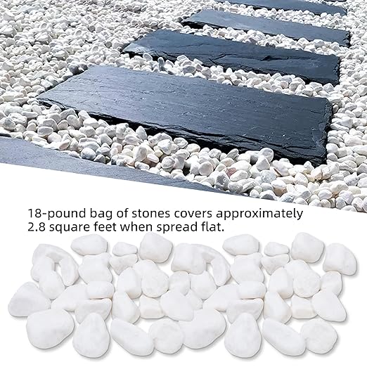 18LB 1"-2" White River Rocks for Plants, Polished Pebbles for Garden Landscaping, Planters, Aquariums, Vase Fillers – Indoor & Outdoor Decor-PurrikoPets