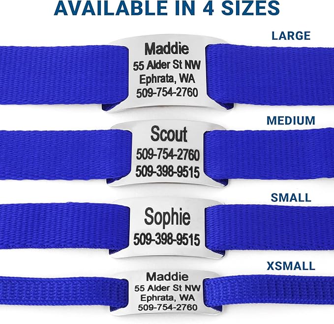 GoTags Personalized Dog Collar with Nameplate, Adjustable Dog Collar with Custom Engraved Slide On Pet ID Tag in Stainless Steel, Silent, No Noise Dog Tag for Large Medium and Small (Blue, Small)-PurrikoPets