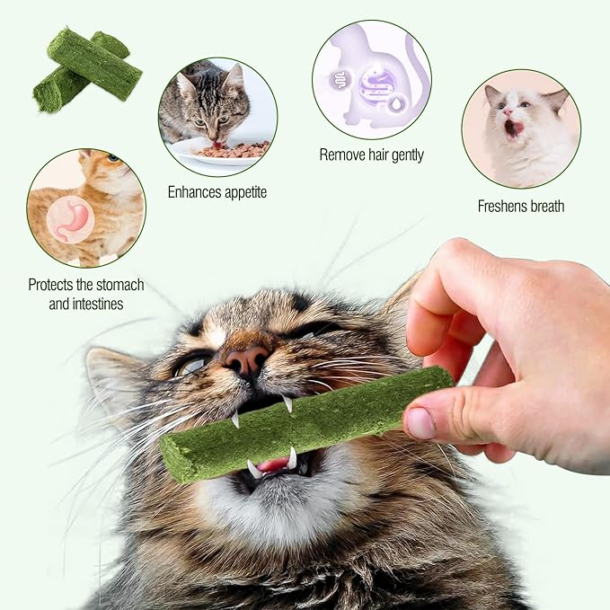 225g Cat Grass Teething Stick, Delicious Cat Treat Snack Edible Cat Chew Toy for Teeth Cleaning and Hairball Removal in Cats-PurrikoPets