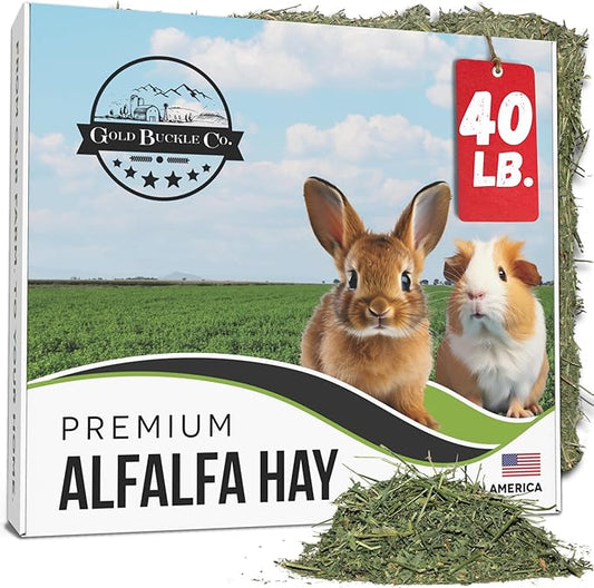 40lb Freshly Dried Organic Alfalfa Hay for Guinea Pigs, Rabbits, Chinchillas, Goats, Hamsters & Ferrets, Small Animal Food Rich in Protein & Fiber, Hand-Selected, Hand sorted, USA Grown-PurrikoPets