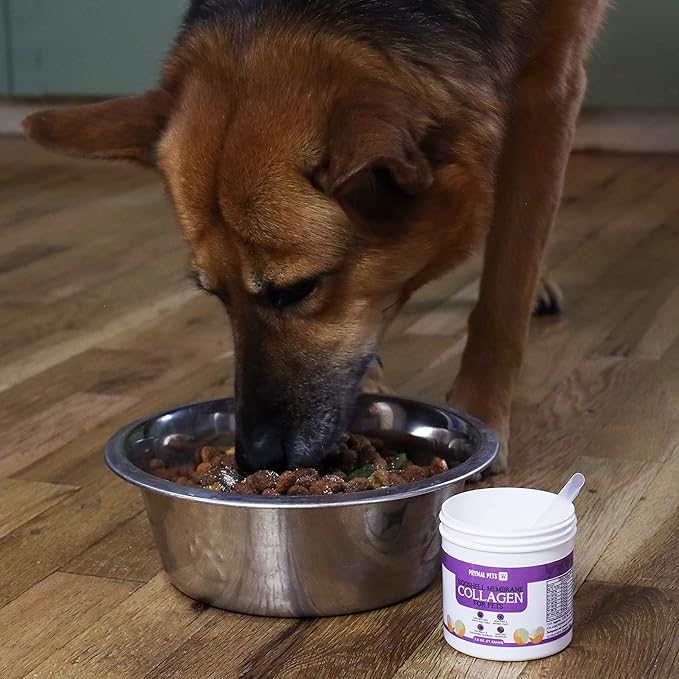 Eggshell Membrane Collagen for Dogs - Non-Gelatin and Non-Bone Marrow Based, All Natural Premium Dog Collagen Powder from Eggshell Membranes: Supports Pet HIPS, Joints, Nails, Fur and Digestion.-PurrikoPets
