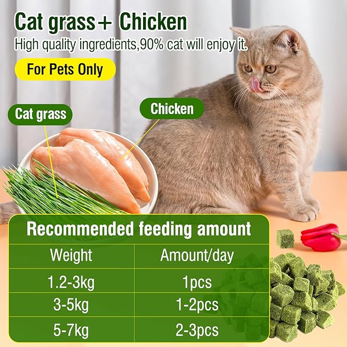 50g Cat Grass Teething Treat, Delicious Cat Grass Teething Snack Edible Cats Chew Toy for Teeth Cleaning and Hairball Removal-PurrikoPets