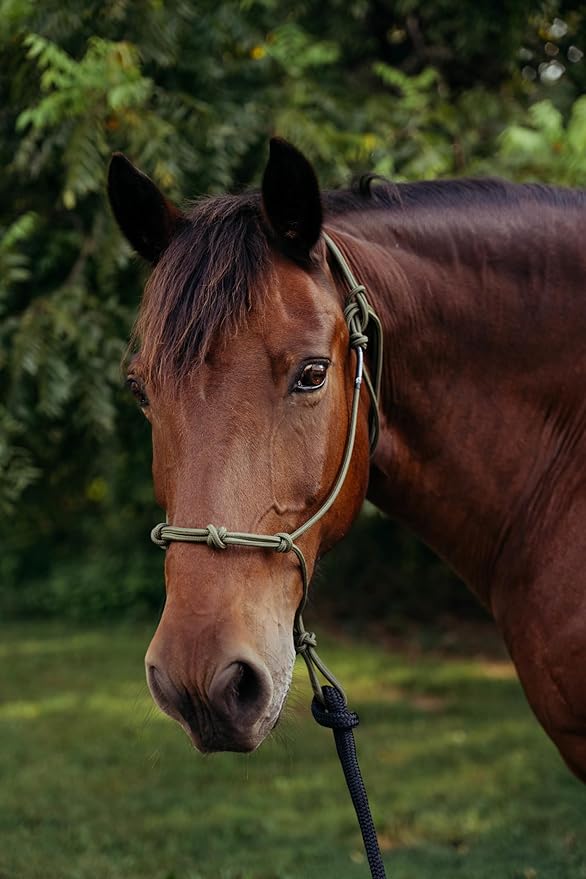 Double Braid Polyester Yacht Horse Lead Rope with Loop 12ft. or 14ft. Lengths (Brown, 14 ft. No Snap)-PurrikoPets