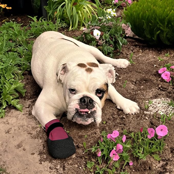 Double Dipped Thick Textured Waterproof Cotton Dog Socks | PawFlex Comfy Pawz Soft Indoor/Outdoor Pet Booties | Non-Slip Silicone Grip at Inner Wrist for No Twisting or Sliding Off| Adjustable Strap-PurrikoPets