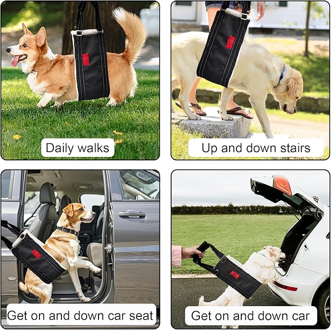 Dog Lift Harness - Adjustable Sling for Rear Legs with Soft Support for Senior, Injured, Disabled Dogs After ACL Surgery - Helping Pets with Canine Aid and Rehab Support (M)-PurrikoPets