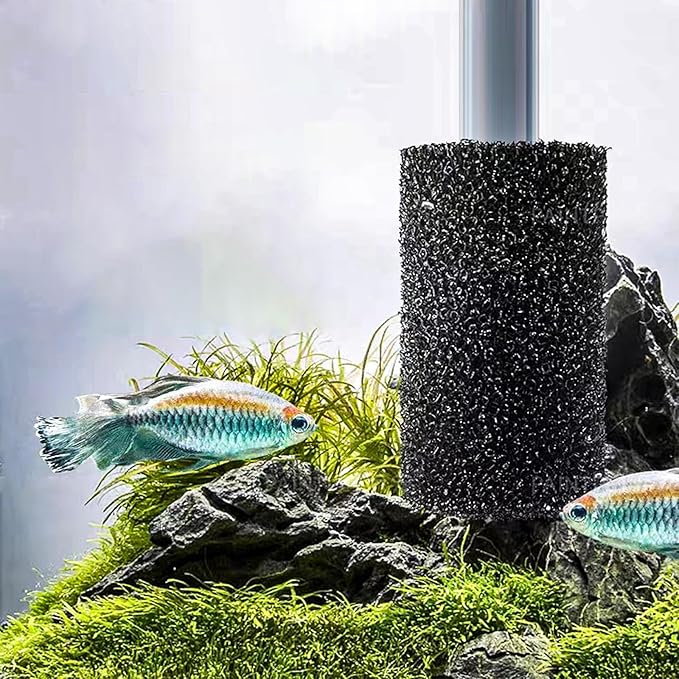 6X Pre-Filter Sponge for Aquarium Shrimp Fry Fish Tank Filter Pump Prefilter Sponge Replacement Foam Cover 3.2 X 1.6 Inch with 0.6" Hole Diameter-PurrikoPets