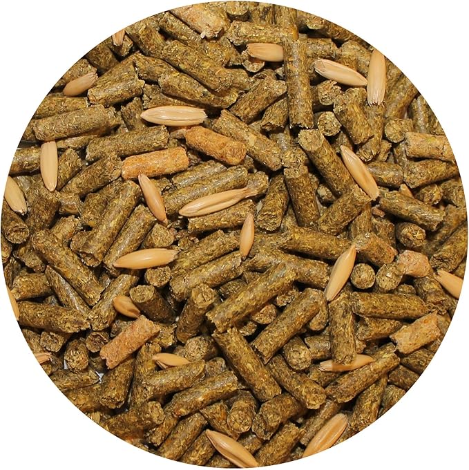Exotic Nutrition Degu Diet (18lb) - Nutritionally Complete Healthy Pellet Diet with Whole Oats - for Domesticated Pet Degus-PurrikoPets