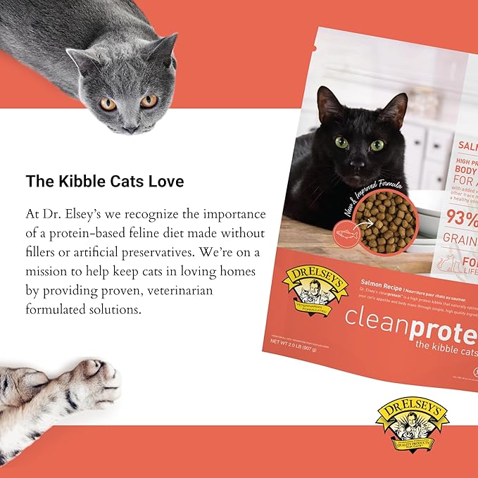 Dr. Elsey'S Cleanprotein Salmon Formula Dry Cat Food, 2 Pound (Pack of 1)-PurrikoPets