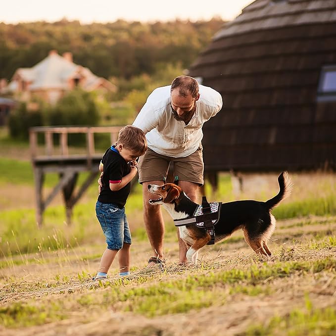 Dogline Dog Harness, Reflective No-Pull Adjustable Vest with Handle for Walking, Training, Breathable, No - Choke Harness for Small, Medium or Large Dogs Room for Patches Leopard Rainbow XL 33"-46"-PurrikoPets