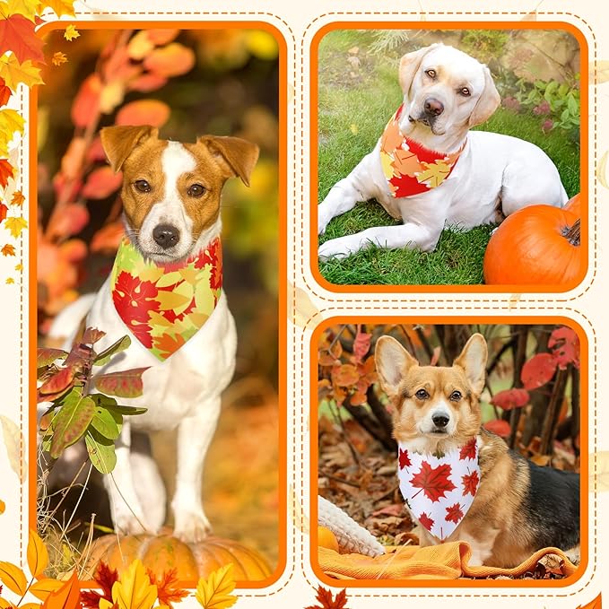 Abbylike 50 Pcs Fall Dog Bandana Bulk Maple Leaves Bandana for Dogs Triangle Kerchief Bibs Scarf for Small Medium Large Pet Autumn Thanksgiving Costume Accessories, 25 Styles (31.5 x 21.7 x 21.7 Inch)-PurrikoPets
