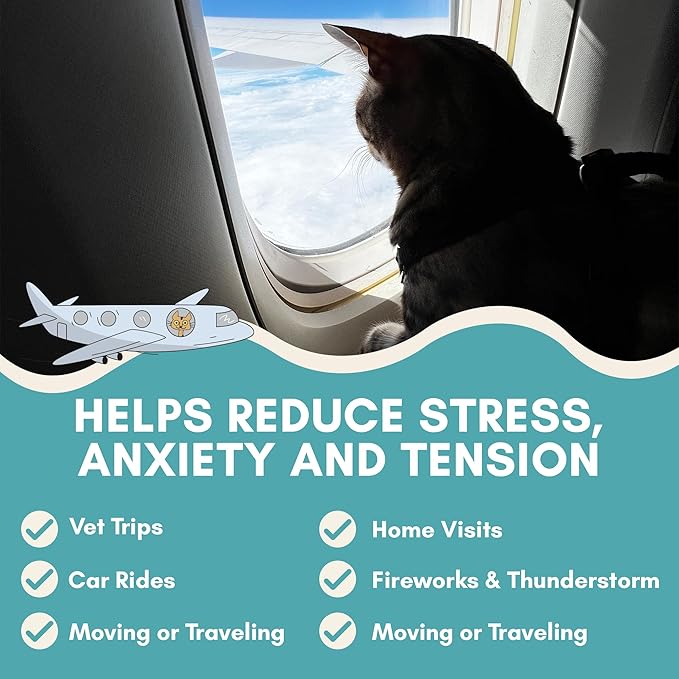 ALBERT & MIA Calming Sticks Lickable Calming Cat Treats for Stress and Anxiety Relief for Cats, Irresistible - Vet Recommended (Sleeping Aid, Vet Visits, Grooming, Car Rides, Plane) 20 Pack-PurrikoPets