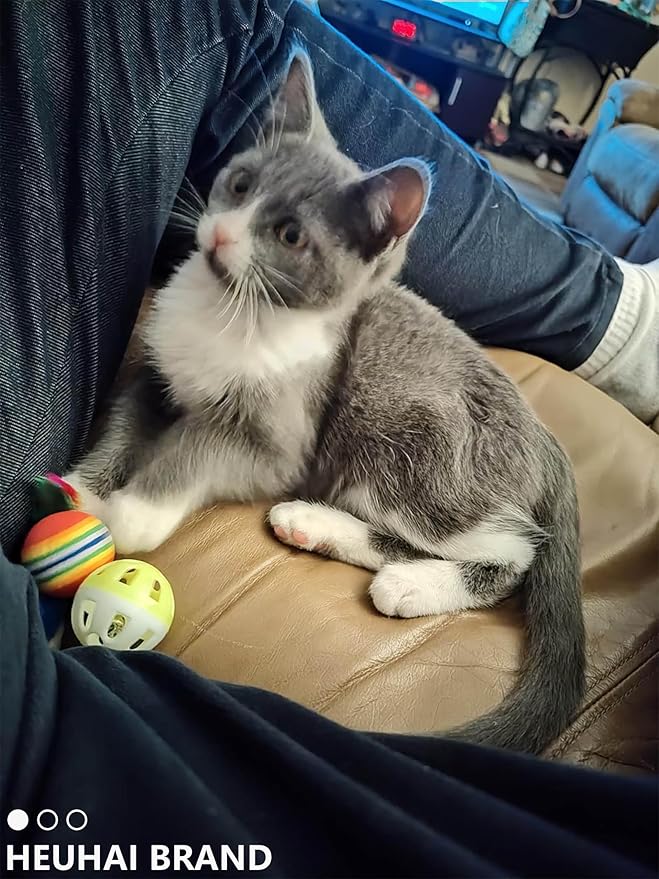 10-Pack Cat Toy Balls with Bell for All Cats, Playtime Paradise (1.5'' - 2.3'', Cat Toys Mega Set)-PurrikoPets