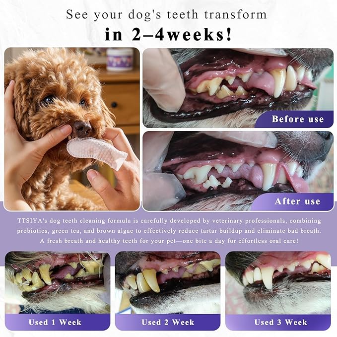 Dog Teeth Cleaning Powder, Pet Dental Powder -Dental Care, Dogs Breath Freshener with Probiotics for Tartar & Reduces Plaque & Bad Breath Teeth Cleaning for Small, Medium, Large Dogs 100g-PurrikoPets