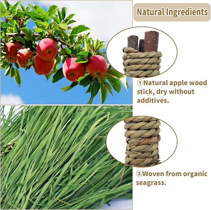 Fhiny 12 PCS Guinea Pigs Chew Toys, Natural Apple Branch Seagrass Molar Sticks for Teeth Bunny Chew Toys Cage Accessories for Guinea Pigs Rabbit Bunny Hamster Chinchilla-PurrikoPets