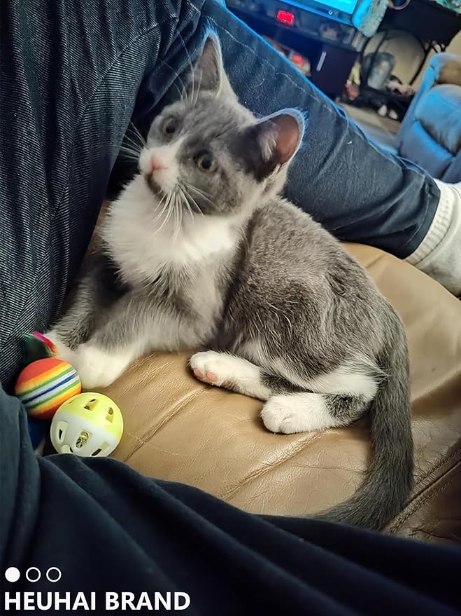 10-Pack Colorful Cat Toy Balls with Bells for Indoor Cats and Kittens (1.5'' - 2.3'', Cat Toys Mega Set)-PurrikoPets