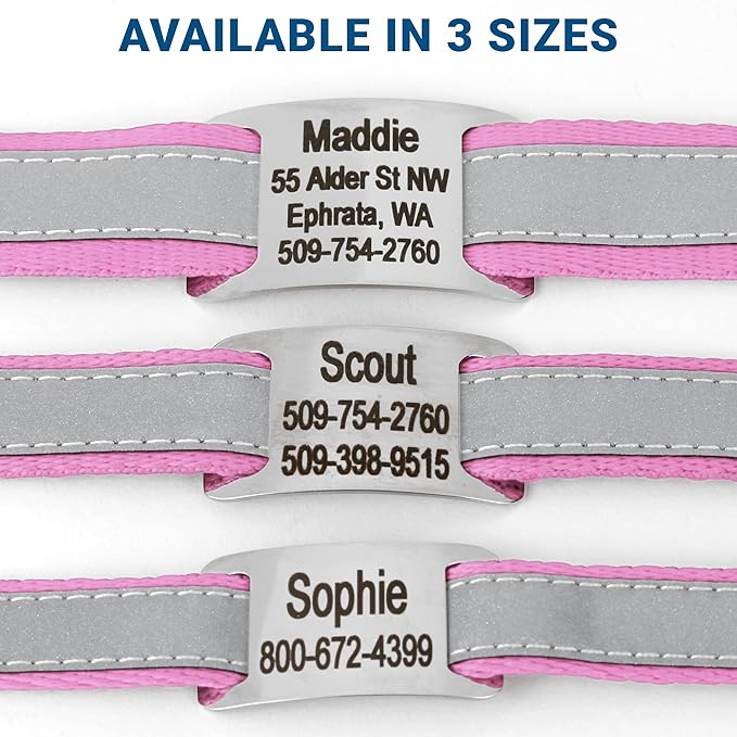 GoTags Reflective Personalized Dog Collar with Nameplate, Adjustable Dog Collar with Custom Engraved Steel Slide On Pet ID Tag, Silent, No Noise Dog Tag for Large Medium or Small (Pink, Large)-PurrikoPets