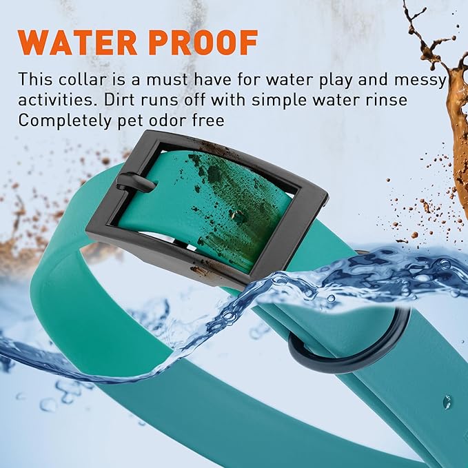 Dogline Biothane Waterproof Dog Collar Strong Coated Nylon Webbing with Black Hardware Odor- Proof for Easy Care Easy to Clean High Performance Fits Small Medium or Large Dogs, Blue Aqua-PurrikoPets