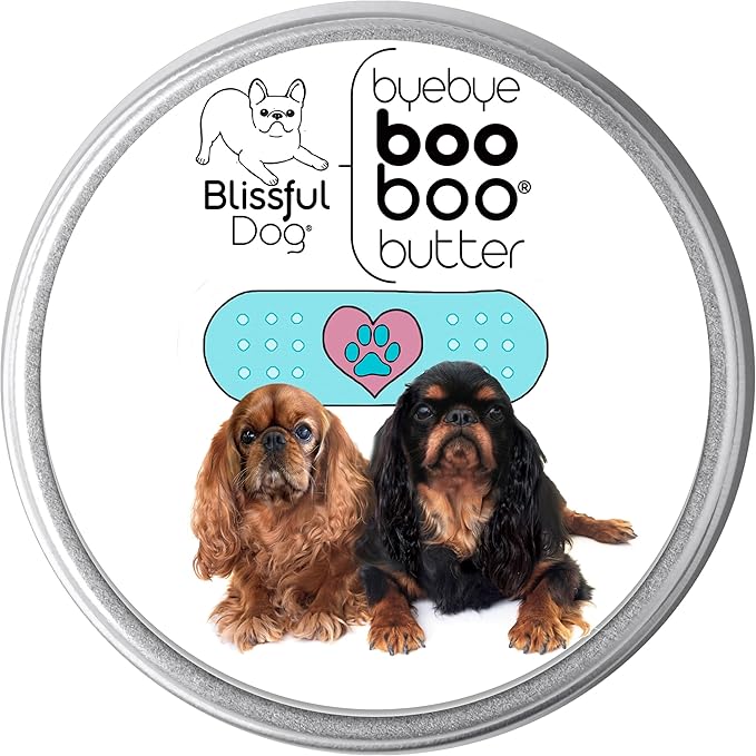 English Toy Spaniel Boo Boo Butter, 4-Ounce-PurrikoPets