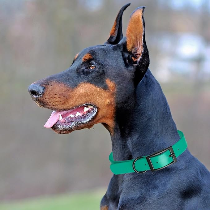 Dogline Biothane Waterproof Dog Collar Strong Coated Nylon Webbing with Black Hardware Odor- Proof for Easy Care Easy to Clean High Performance Fits Small Medium or Large Dogs, Teal-PurrikoPets