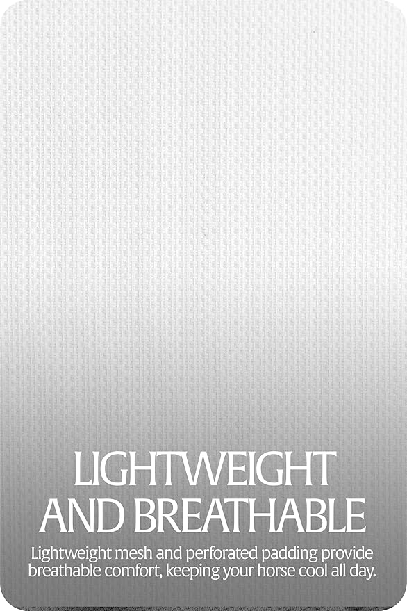 Equinavia Algard Soft Mesh Horse Fly Mask with Ear Protection and 45 UPF Rating | No Eye Irritation & UV Protection - Silver - Cob-PurrikoPets